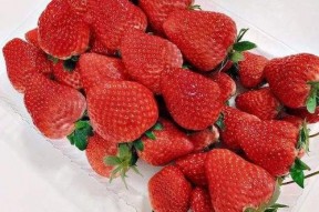 小草莓吃瓜爆料,娱乐圈最新猛料大揭秘